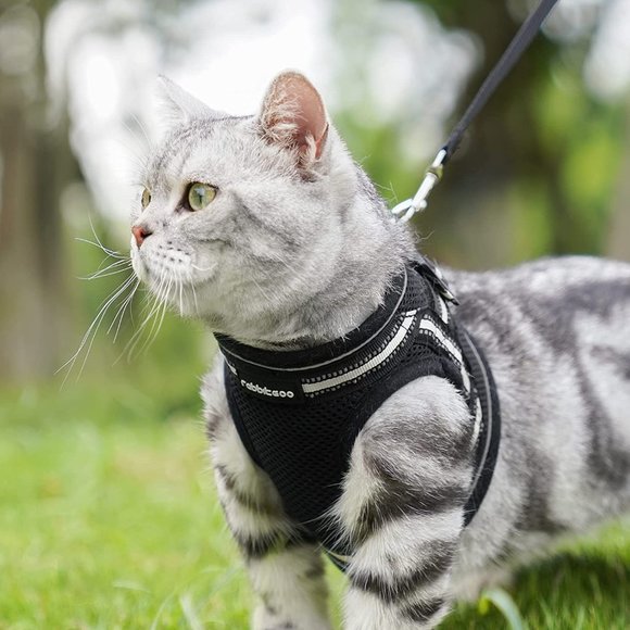 Rabbitgoo Other - Cat Harness and Leash Set for Walking, Escape Proof #2